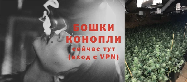 мдпв Горнозаводск